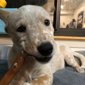 Meet your Posher, Jean